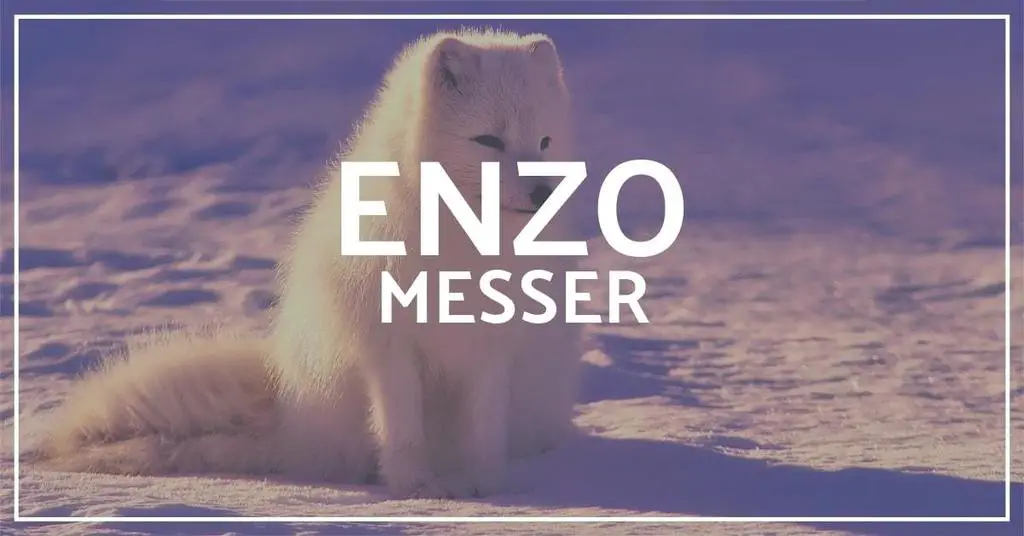 Enzo Trapper Messer Test