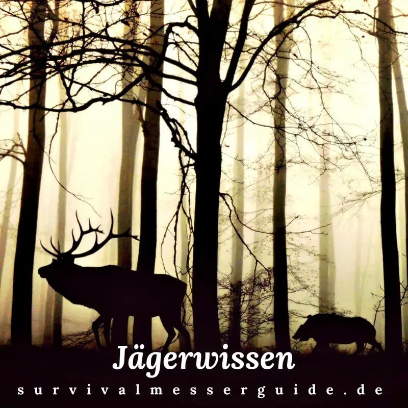 5 Bucher Fur Jager Die Jeder Waidmann Gelesen Haben Sollte