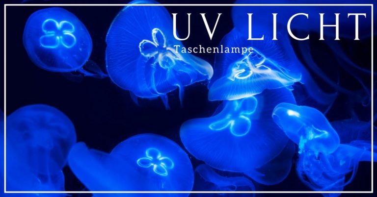 UV Taschenlampe kaufen - Vergleich, Funktion und 10 Anwendungsfälle