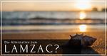 Fremdliegen erlaubt - Endlich eine interessante Lamzac Alternative (2018) fatboy lamzac alternative