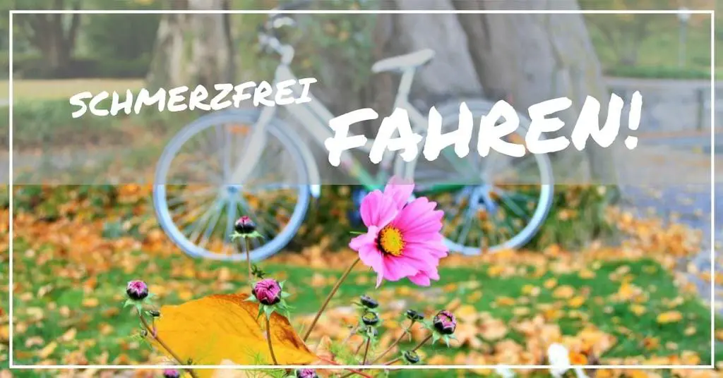 rückenschonender fahrradsattel test