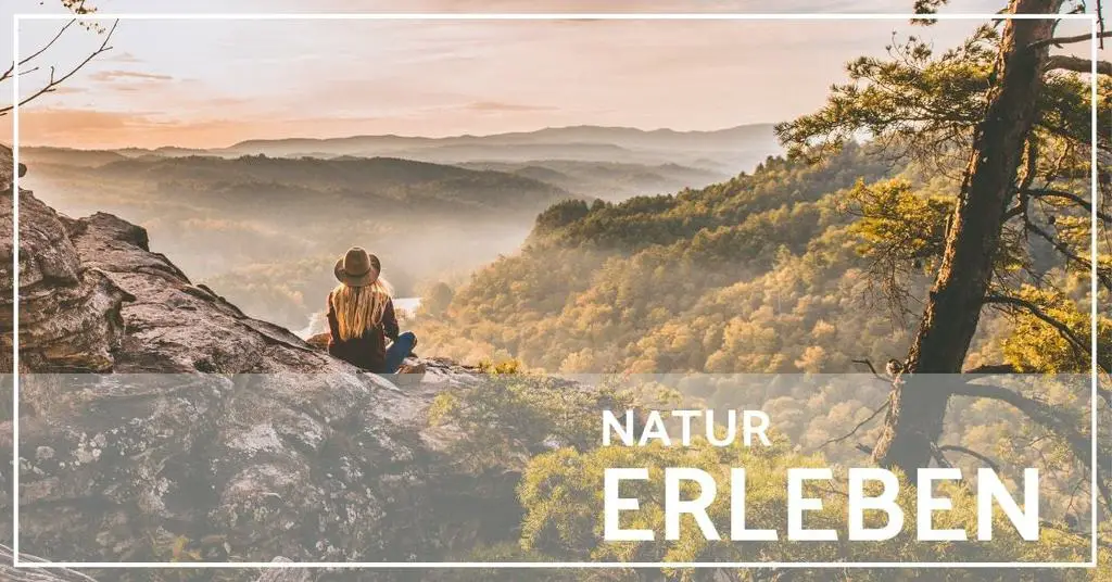 beste outdoor schuhe für damen test