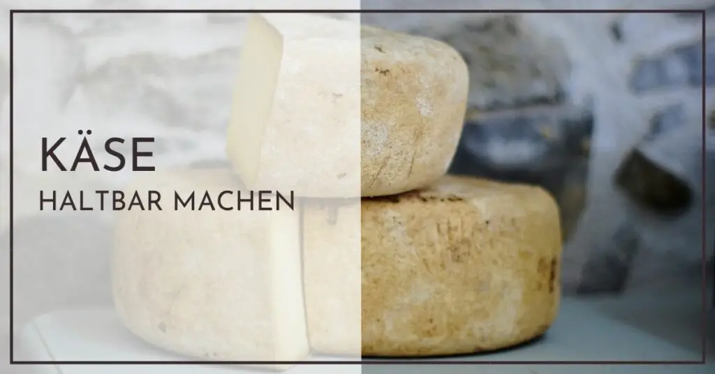 Wie kann man Käse länger haltbar machen? - 5 einfache Methoden