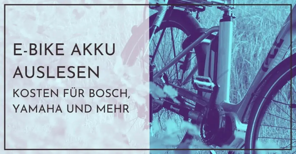 E Bike Akku auslesen Kosten - Bosch, Yamaha und mehr